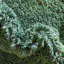 Tapis vert Lizeth-933712762