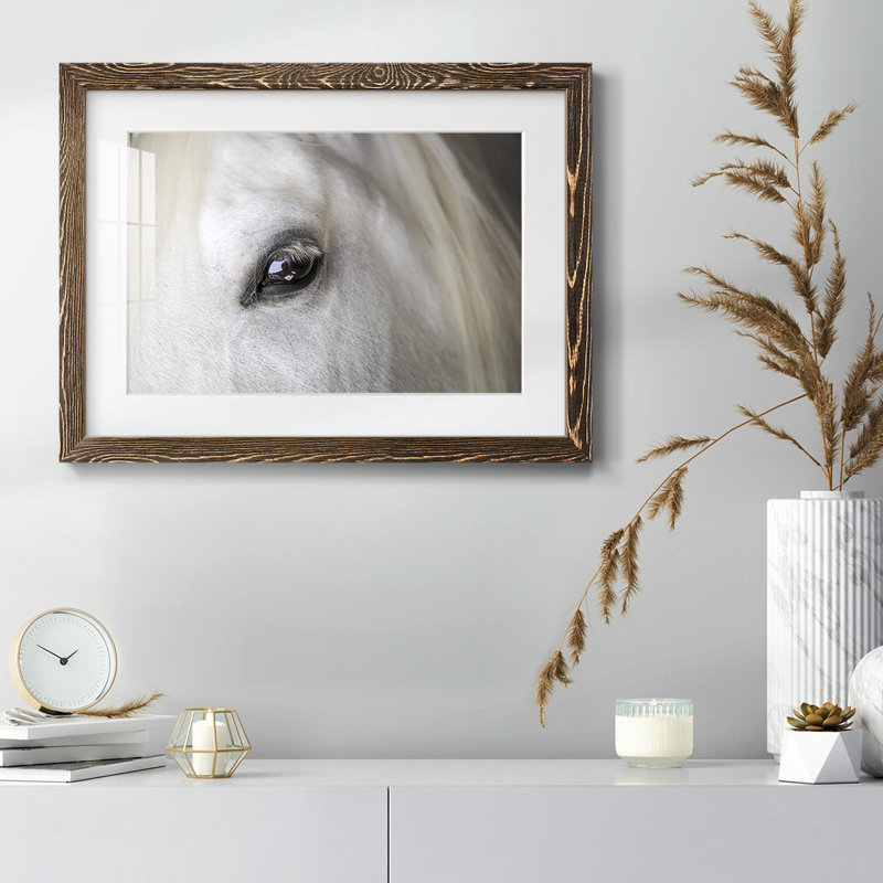 Balearic Island Horse, impression sur papier, Noyer, H 18 po x l 26 po x P 1,5 po