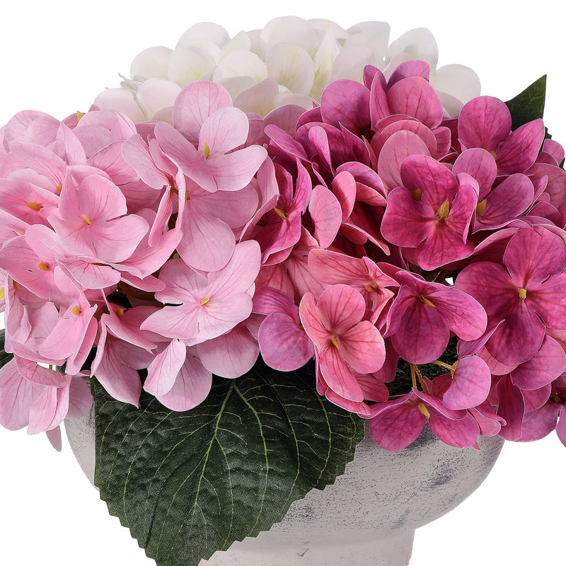 8"Tx10"D Hydrangea in Cement Pot