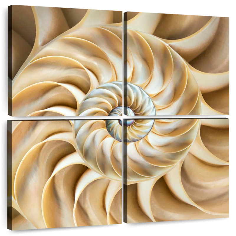 Aletra Nautilus Symmetry, 45" H x 45" W
