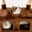 Grand arbre à chat 75 "Amariani-1785950817