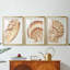 «Vintage Shell Vignette I», impression encadrée sur mesure de qualité supérieure mate - 3 pièces-2126711603-2126711606
