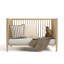 Rio 5-in-1 Convertible Crib with Toddler Guardrail-1013702228