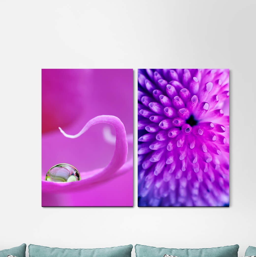 2-tlg. Leinwandbilder-Set - Fotografie „Orchid Flower Summer Violet Pink Water Drops”