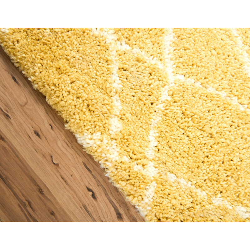 Paquette Geometric Shag Area Rug, Runner 79 x 305cm