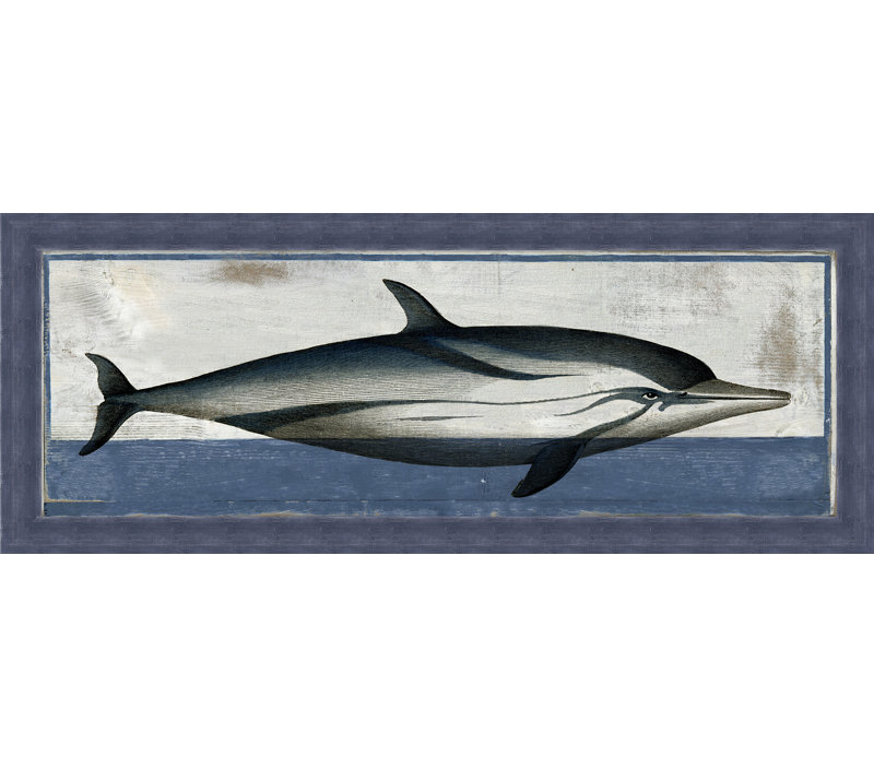 Dauphin antique 2 - Peinture sur papier encadrée
