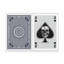 Ace of Spades With Skull-121108408