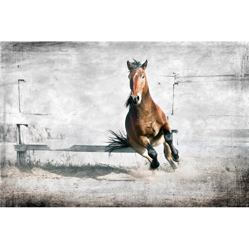 Lynndyl Young Stallion Frolicking - Wrapped Canvas Print, 51cm H x 76cm W x 3.8cm D