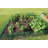 12 Foot Modular Garden Fence System