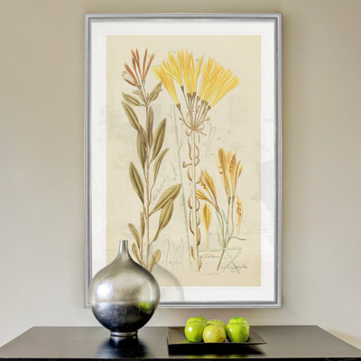 Croquis botanique ancien IV - Estampe botanique vintage, encadrée sous verre acrylique, décoration murale pour salon et salle à manger
