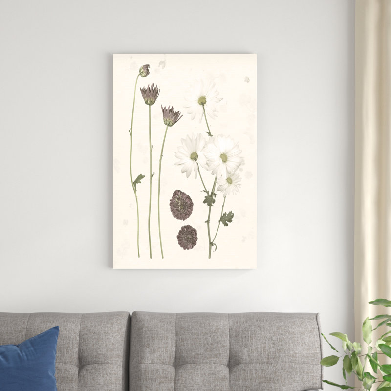 «Pressed Blooms IV», impression sur toile, H 36 po x l 24 po