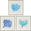 Impression sur toile «Sea Fan II S / 3» par Vision Studio
