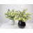 Eucalyptus Faux Plants in Ceramic Pots