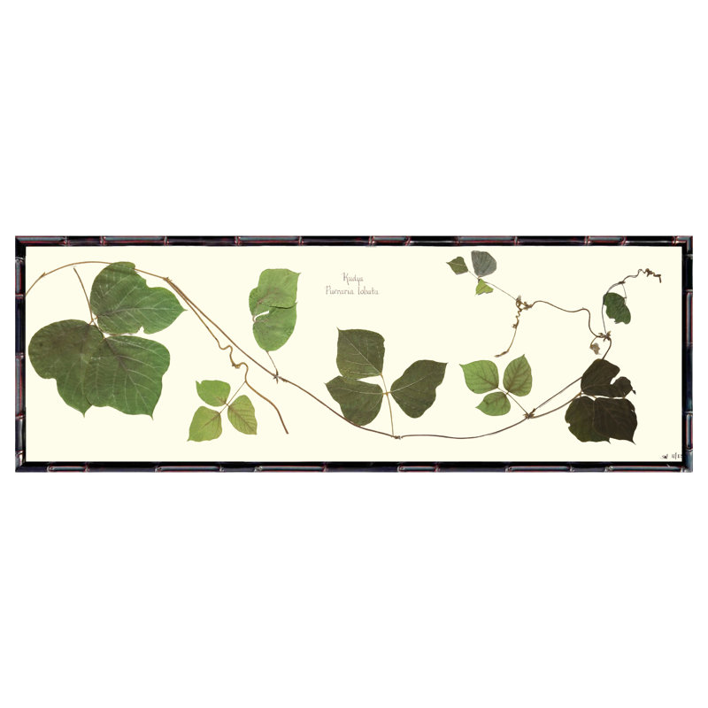 Kudzu Vine Print by Sandy Whitaker, Gold Bead 2