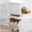 Edelen Plastic Step On Outdoor Trash & Recycling Bin - 42L