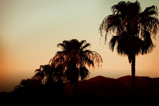 Sunset In The Palms 2 Print