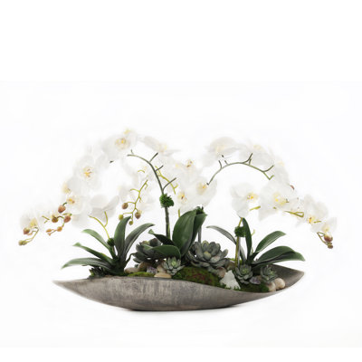 Real Touch Phalaenopsis Orchid Floral Arrangement in Tray