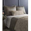 Trevi Embroidered Throw Blanket