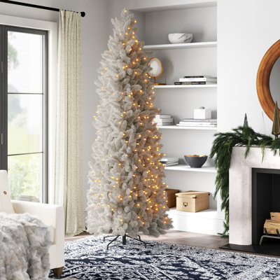 Lighted Christmas Tree