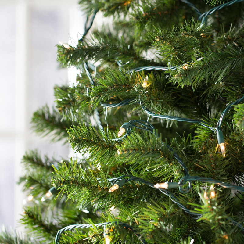606'' String Lights, Clear