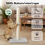 35.5cm H Cat Tree