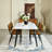 Corsi Adalia 5 Pieces Dining Table Set  63" Rectangular Dining Table with 4 Armless Chairs Space-Saving Design for Modern Dining Rooms-340508846-340508841