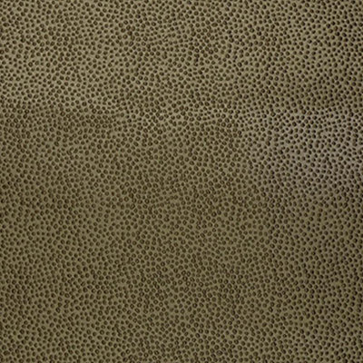 SAMPLE-Wesco Gentry on the Dot Fabric