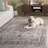 Modestino Antique Patina Performance Oriental Rug-1613006895