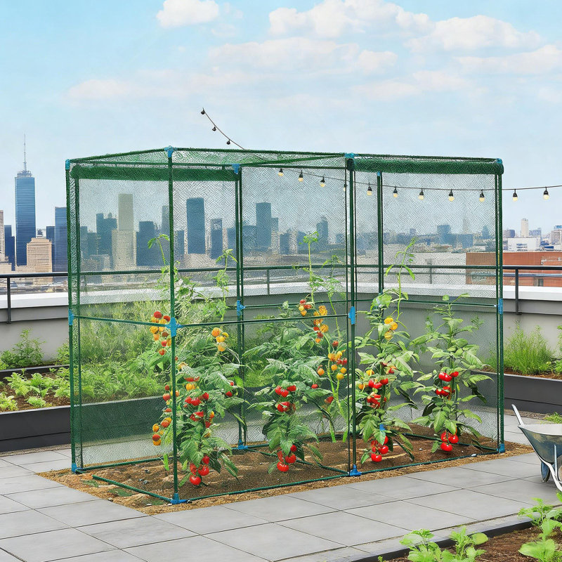 Protecteurs de plantes, cage de jardin