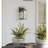 Asgari Wall Light-1806100071-1806100090