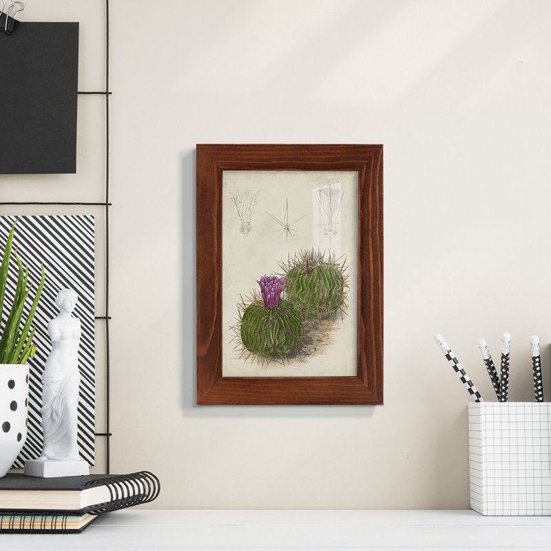 Cactus antique II - impression encadrée avec verre, H 6 po x l 4 po x P 1 po, Châtaigne