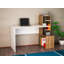 Bureau Lumpkins