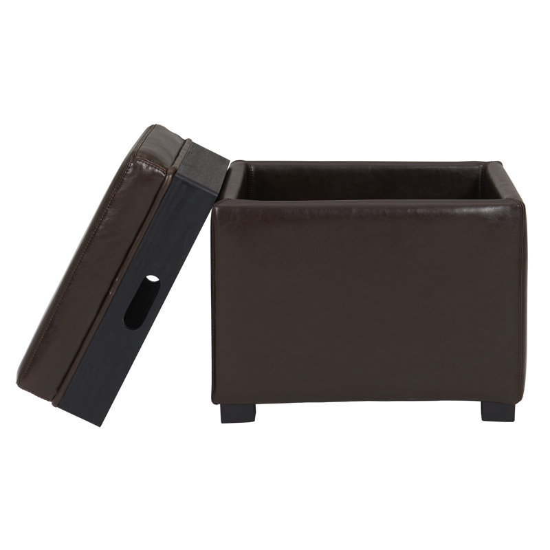 Aracri Upholstered Storage Ottoman, Brown