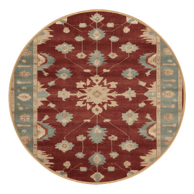 Machine Washable Overdyed Brown Area Rug