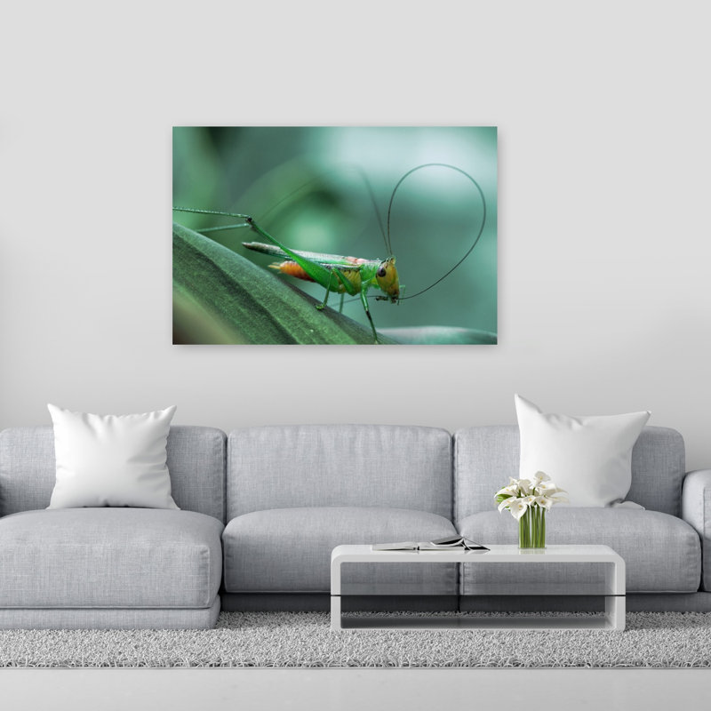 Vibrant Green Grasshopper Peaceful Serene Tranquil Grasshopper Nature Plant Wall Art Print 1 Piece Wrapped Canvas Wall Art
