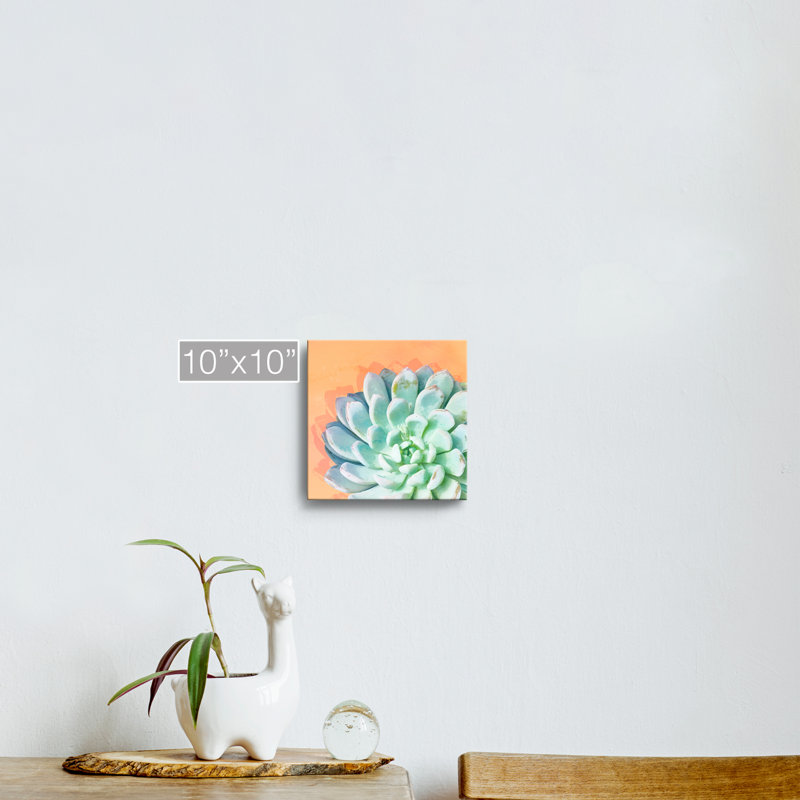 « réveil iv », impression sur toile succulent, H 10 po x l 10 po x P 1,5 po, Toile tendue