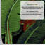 Black Banana Leaves