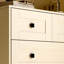 Commode à tiroirs avec porte de ferme blanche