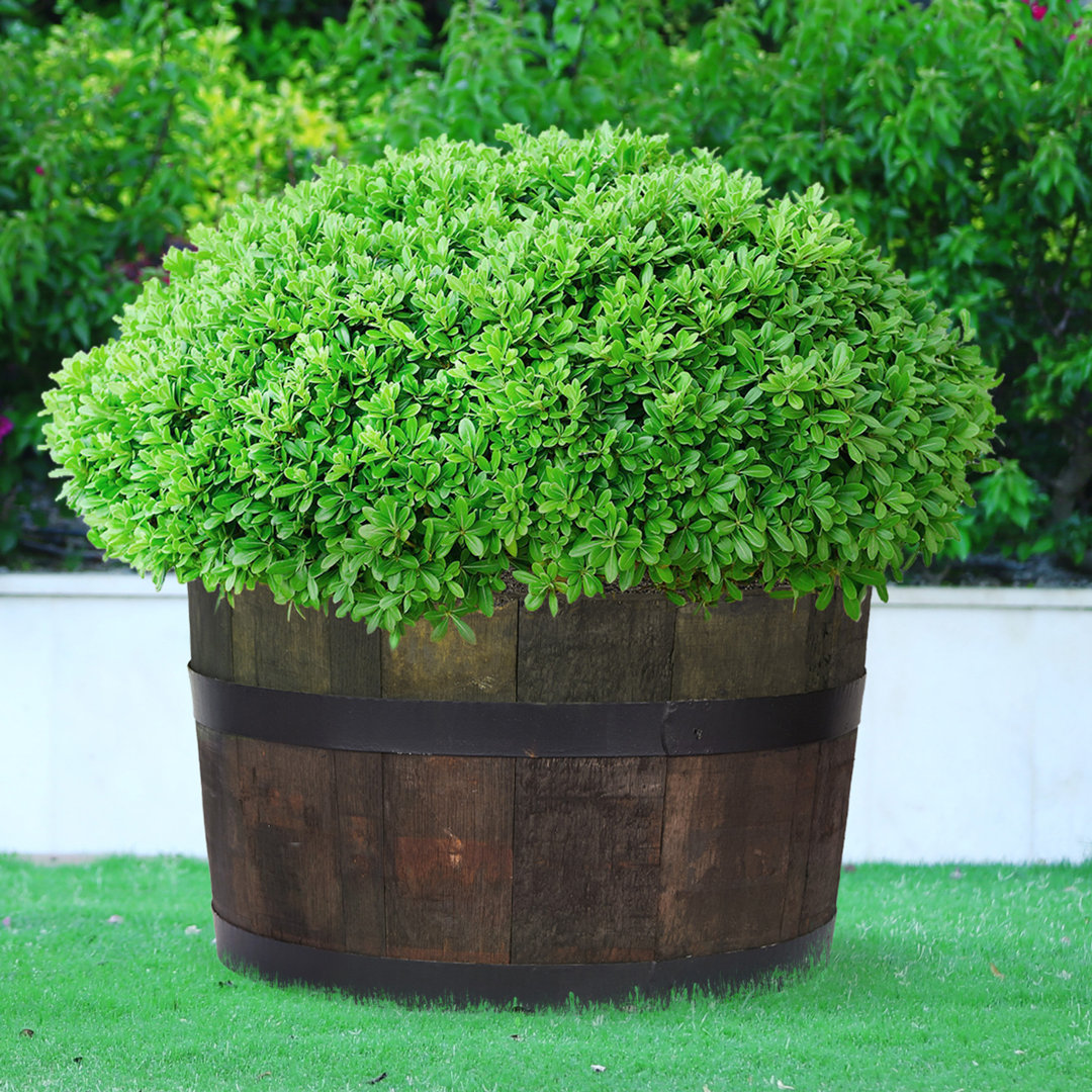 Rustic Home And Garden Whiskey Barrel Planter Upsycled Oak Wood Round Tub D40 H30 Cm, 37.7 Ltrs Cap.