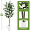 180cm Tree