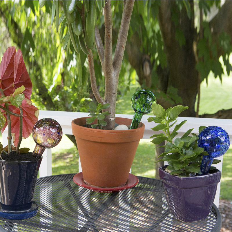 Weather Resistant Glass Abstract Plant Quencher