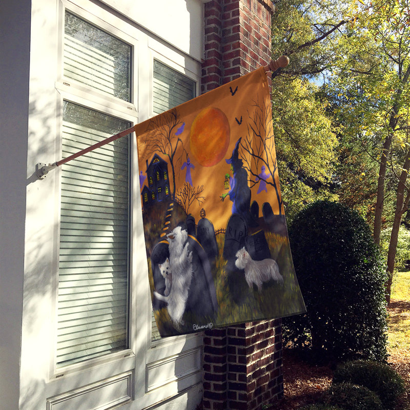 Drapeau de maison Hvidovre Sheltie Halloween en polyester à 2 faces 3 x 2 pi, Westie méchante sorcière