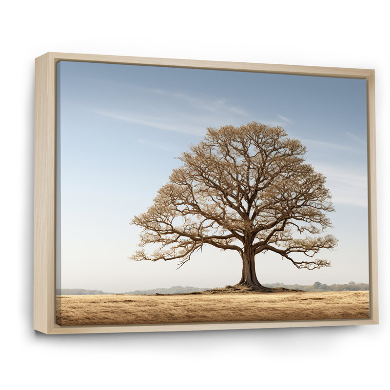 «Brown Oaks Outline - Tree Oak», art encadré, Cadre naturel flottant, H 34 po x l 44 po x P 1,5 po