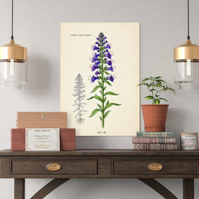 Canvas Wall Art Echium Antique Botanical Canvas Wall Art Vintage Poster Print Home Decor