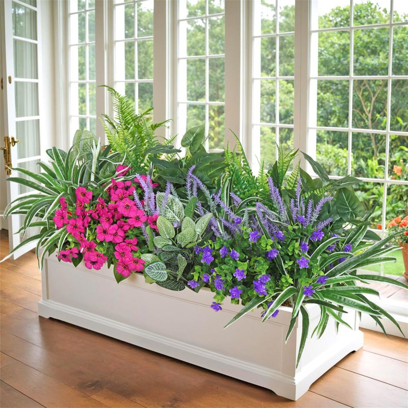 37cm Plant