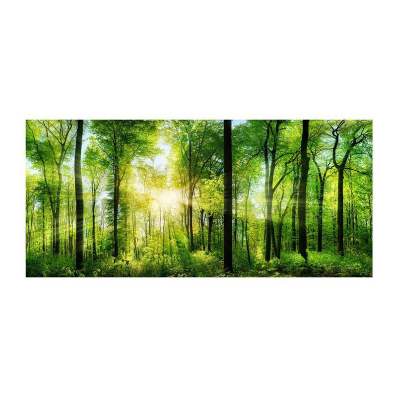 Panneau mural Faouzi Forest Sunrise L 8,17 pi x l 212 po