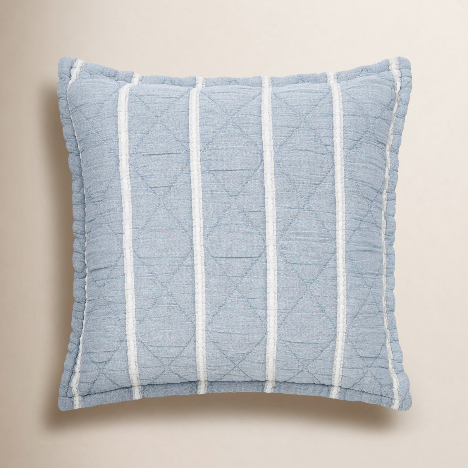 Garrow 20" x 20" Pillow Cover, Blue