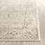 Serein Oriental Area Rug-1539043224