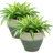 Chalet 11.75" x 11.75" x 9.5" Round Ceramic Outdoor Planter 2-Count - Seafoam-765208649-765246696