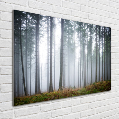 Fog In The Forest - Unframed Art Prints on Glass